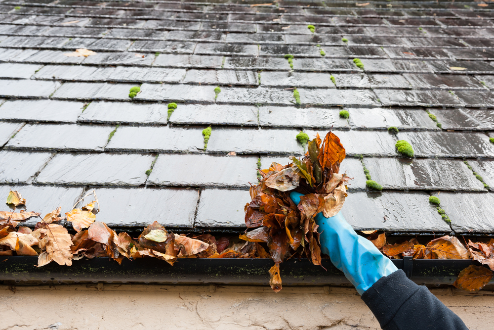 Pulling leaves out of a home's gutters as part of fall maintenance