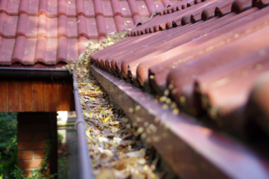 Clogged Spring Gutters