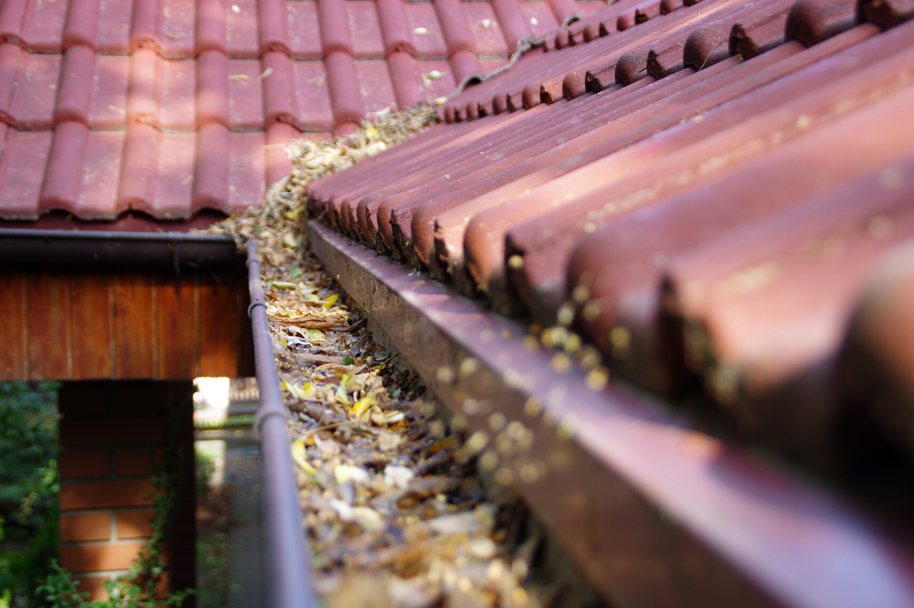 Clogged spring gutters