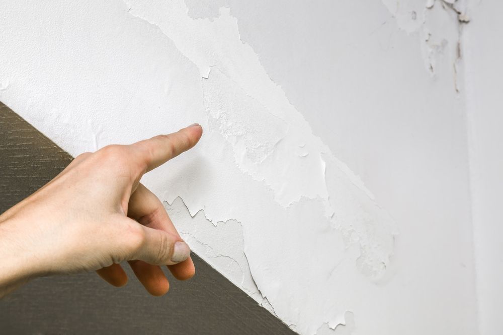 Woman's hand finger pointing to shabby wall defects near the roof window due to humidity problems