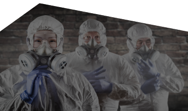 Trauma, Asbestos & Biohazard