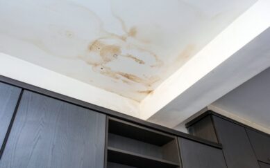 Revive Ceiling Water Damage Blog